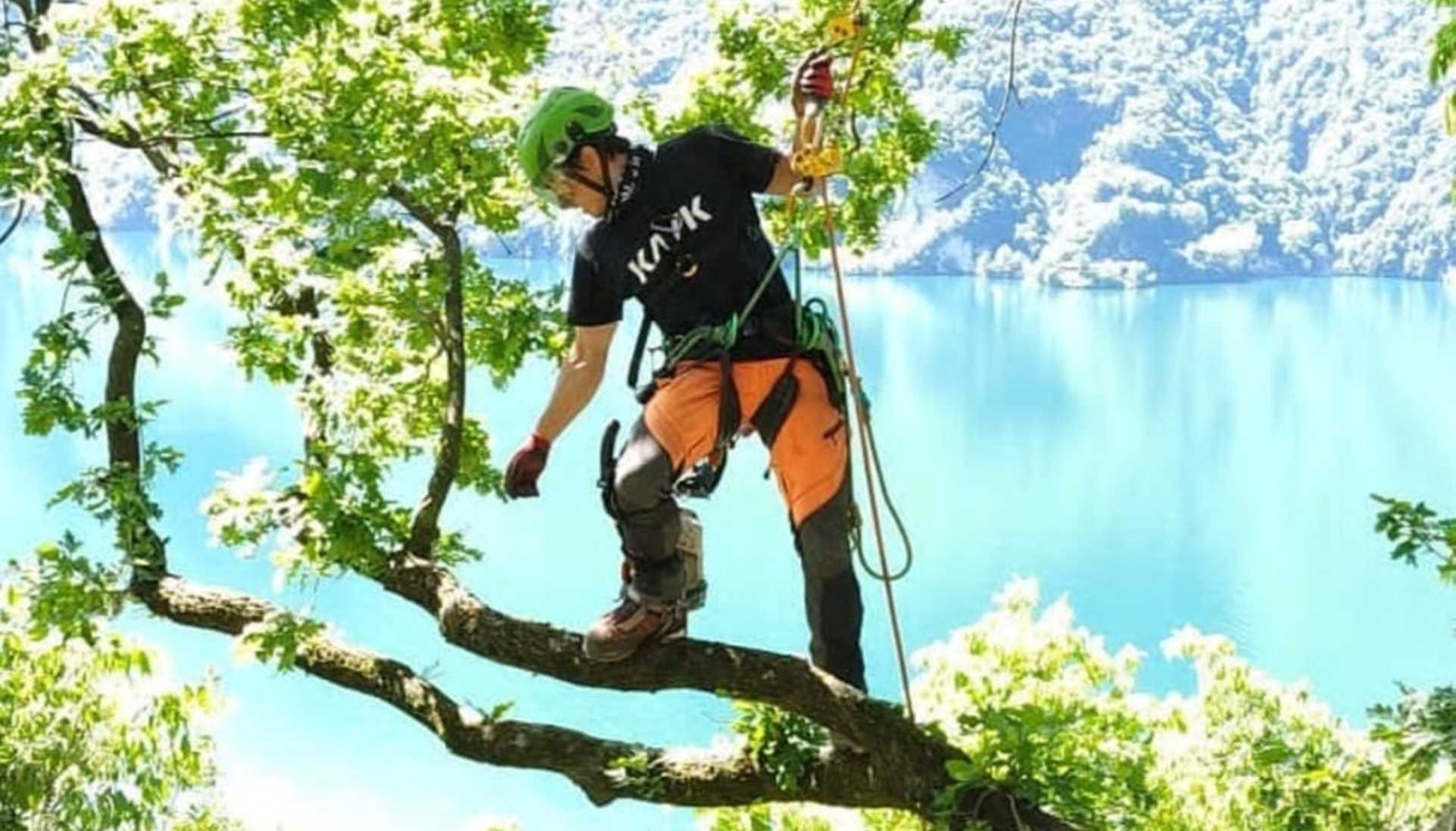 Tree climbing