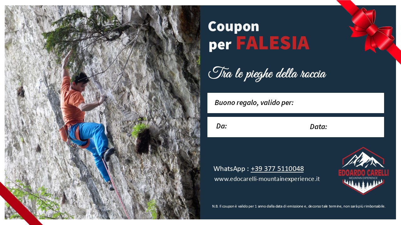 Coupon – Falesia – Edoardo Carelli Coupon - Falesia - Edoardo Carelli
